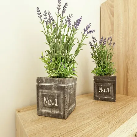 Beachside W Sauna Middelkerke